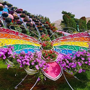 Dubai Butterfly Garden: Skip The Line at Dubai Butterfly Garden, Dubai, United Arab Emirates Dubai Butterfly Garden: Skip The Line at Dubai Butterfly Garden