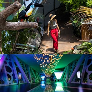 Dubai Frame + The Green Planet Dubai – Combo – Must-see attractions Dubai Frame + The Green Planet Dubai - Combo Must-see attractions