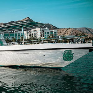 Exclusive Boating Experience – Dolphins Watching – Sightseeing and Tours Exclusive Boating Experience - Dolphins Watching Sightseeing and Tours