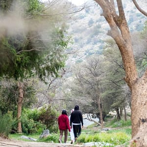 In Hike to the Ain Jamal Waterfall – Recently Added Experiences In Hike to the Ain Jamal Waterfall Recently Added Experiences