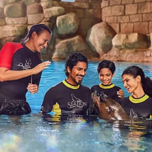 Sea Lion Experiences at Atlantis The Palm – Water Parks Sea Lion Experiences at Atlantis The Palm Water Parks