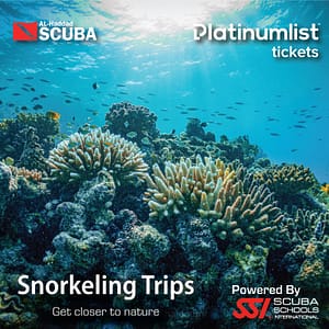 Snorkeling Daily Trips in Jeddah – Attractions Special Offers Snorkeling Daily Trips in Jeddah Attractions Special Offers