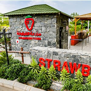 Strawberry Farm – Top-Rated Attractions Strawberry Farm Top-Rated Attractions