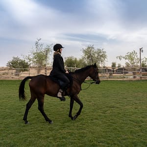 Sunset Horse Riding at Al Marmoom Oasis with a 6-Course Bedouin Dinner – Outdoor Attractions Sunset Horse Riding at Al Marmoom Oasis with a 6-Course Bedouin Dinner Outdoor Attractions