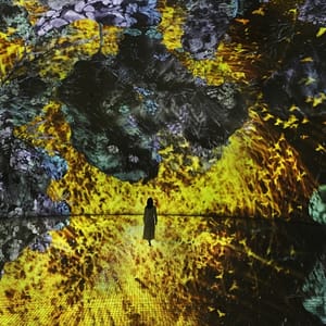 TeamLab Phenomena + Louvre Abu Dhabi – Combo – Recently Added Experiences TeamLab Phenomena + Louvre Abu Dhabi - Combo Recently Added Experiences