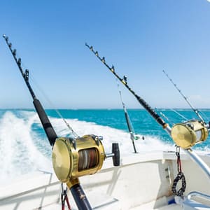 Trolling in Ocean for Big Fish – Top-Rated Attractions Trolling in Ocean for Big Fish Top-Rated Attractions