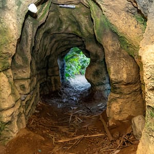 Tropical Land – Top-Rated Attractions Tropical Land Top-Rated Attractions