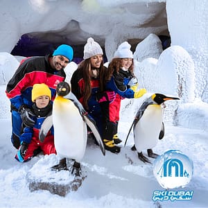 Ski Dubai: Snow Premium with Penguin Encounter – Must-see attractions Ski Dubai: Snow Premium with Penguin Encounter Must-see attractions