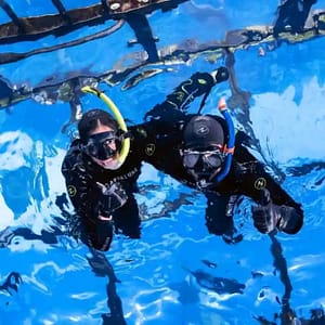 Dubai Aquarium & Underwater Zoo Cage Snorkelling – Indoor Attractions Dubai Aquarium & Underwater Zoo Cage Snorkelling Indoor Attractions