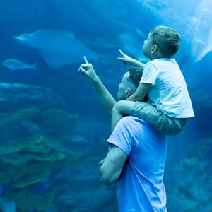 Dubai Aquarium & Underwater Zoo – Ray Encounter – Experiences Dubai Aquarium & Underwater Zoo - Ray Encounter Experiences