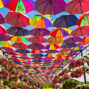 Dubai Miracle Garden – Gardens & parks Dubai Miracle Garden Gardens & parks