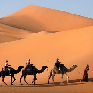 Camel Caravan at Kasbah Le Mirage & Spa – Sightseeing and Tours Camel Caravan at Kasbah Le Mirage & Spa Sightseeing and Tours