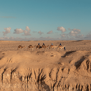 Camel Ride at Le Ranch des Dunes, Dakhla – Must-see attractions Camel Ride at Le Ranch des Dunes