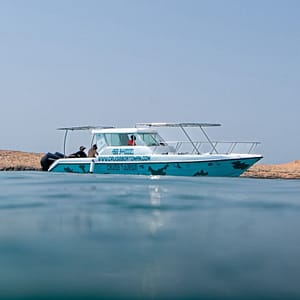 Daymaniyat Island Half Day Sharing Trip – Recently Added Experiences Daymaniyat Island Half Day Sharing Trip Recently Added Experiences