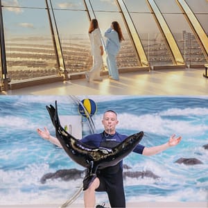 Dolphin & Seal Show + The View at The Palm Non Prime – Combo – Combos and more adventures Dolphin & Seal Show + The View at The Palm Non Prime - Combo Combos and more adventures