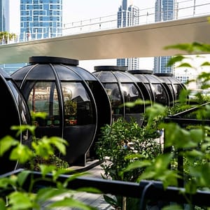 Exclusive 2 Course Festive Lunch – The Pods – Top-Rated Attractions Exclusive 2 Course Festive Lunch - The Pods Top-Rated Attractions