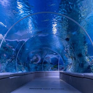 Istanbul Aquarium + Sky View + Sky Walk – Combo – Combos and more adventures Istanbul Aquarium + Sky View + Sky Walk - Combo Combos and more adventures