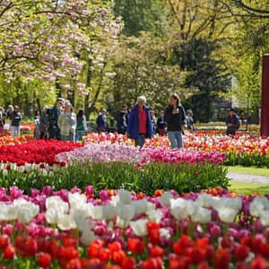 Keukenhof: Entry + Roundtrip Bus Transfer from A’dam Tower – Recently Added Experiences Keukenhof: Entry + Roundtrip Bus Transfer from A’dam Tower Recently Added Experiences