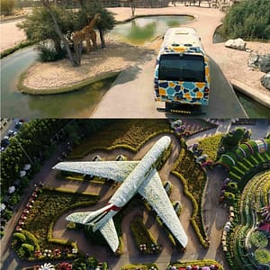 Miracle Garden + Dubai Safari Park – Combo – Must-see attractions Miracle Garden + Dubai Safari Park - Combo Must-see attractions
