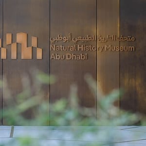 Natural History Museum Abu Dhabi (anyone under 18 years go free) – Museums Natural History Museum Abu Dhabi (anyone under 18 years go free) Museums