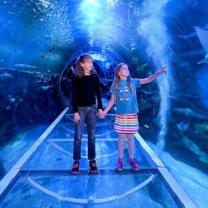 SEA LIFE Birmingham – Indoor Attractions SEA LIFE Birmingham Indoor Attractions