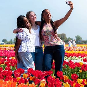 Tulip Experience Amsterdam: Entry Ticket – Recently Added Experiences Tulip Experience Amsterdam: Entry Ticket Recently Added Experiences