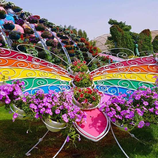 Dubai Butterfly Garden: Skip The Line at Dubai Butterfly Garden, Dubai, United Arab Emirates Dubai Butterfly Garden: Skip The Line at Dubai Butterfly Garden