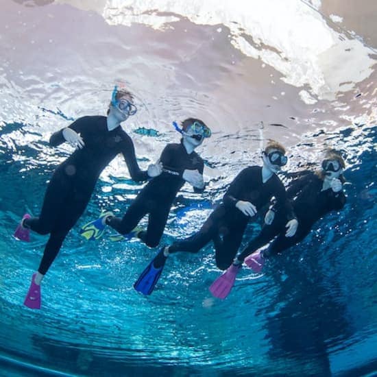 Snorkeling at Deep Dive Dubai at Deep Dive Dubai, Dubai, United Arab Emirates Snorkeling at Deep Dive Dubai at Deep Dive Dubai