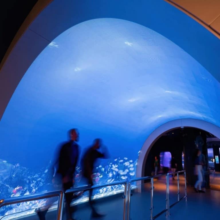 Marassi Aquarium & Underwater Zoo Tickets – Top-Rated Attractions Marassi Aquarium & Underwater Zoo Tickets Top-Rated Attractions