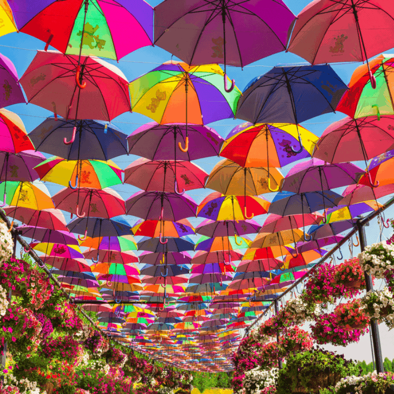 Dubai Miracle Garden – Gardens & parks Dubai Miracle Garden Gardens & parks