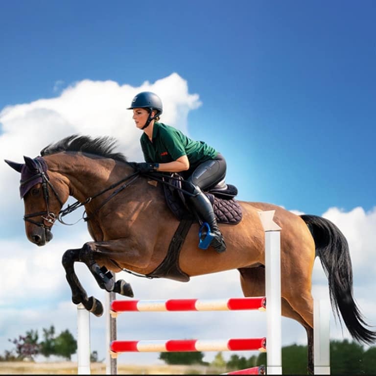Equestrian Horse Ride at Al Forsan – Recently Added Experiences Equestrian Horse Ride at Al Forsan Recently Added Experiences