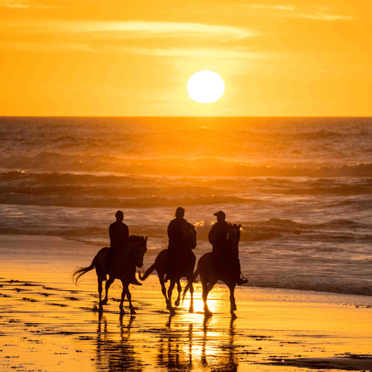 Horseback Ride at Le Ranch des Dunes, Dakhla – Must-see attractions Horseback Ride at Le Ranch des Dunes
